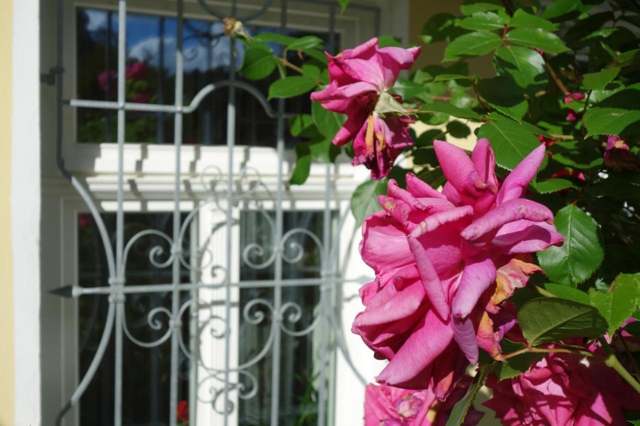 Villa Sonnenstrahl Mariánské Lázně Eksteriør bilde